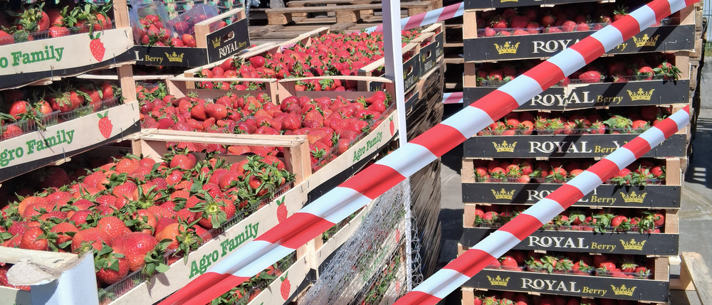 NATCP crackdown: Action against illegal fruit sellers continues